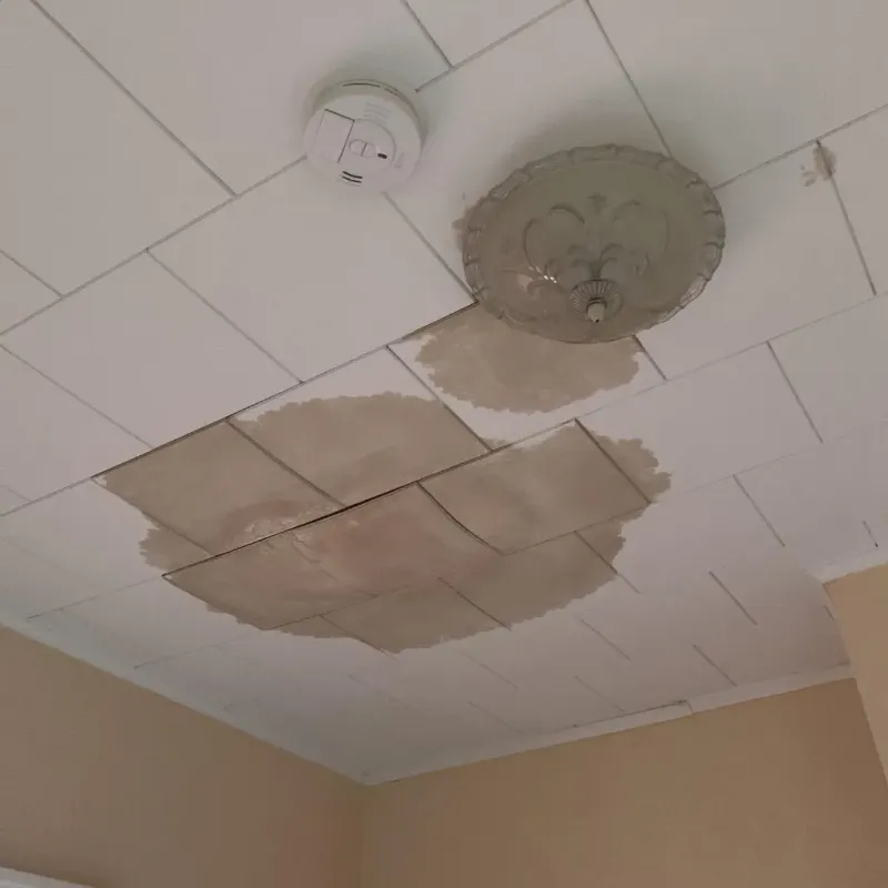 Ceiling Water Damage Repair in Nutley, NJ