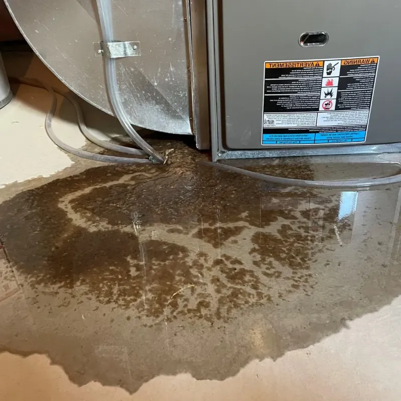 Pipe Burst and Leak Restoration in Nutley, NJ