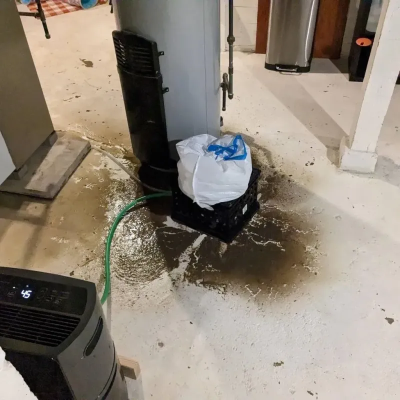 Sewage Backup Cleanup Service in Nutley, NJ